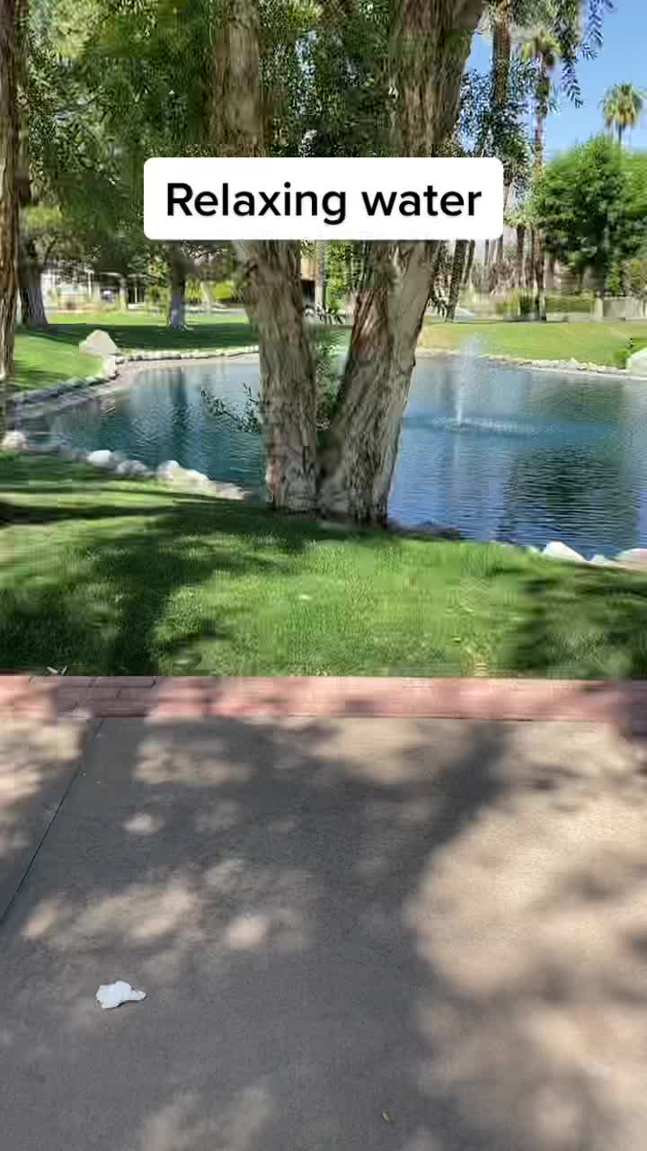 @user1141824423068