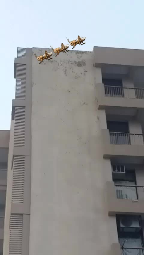 @Rohit R Rohit R