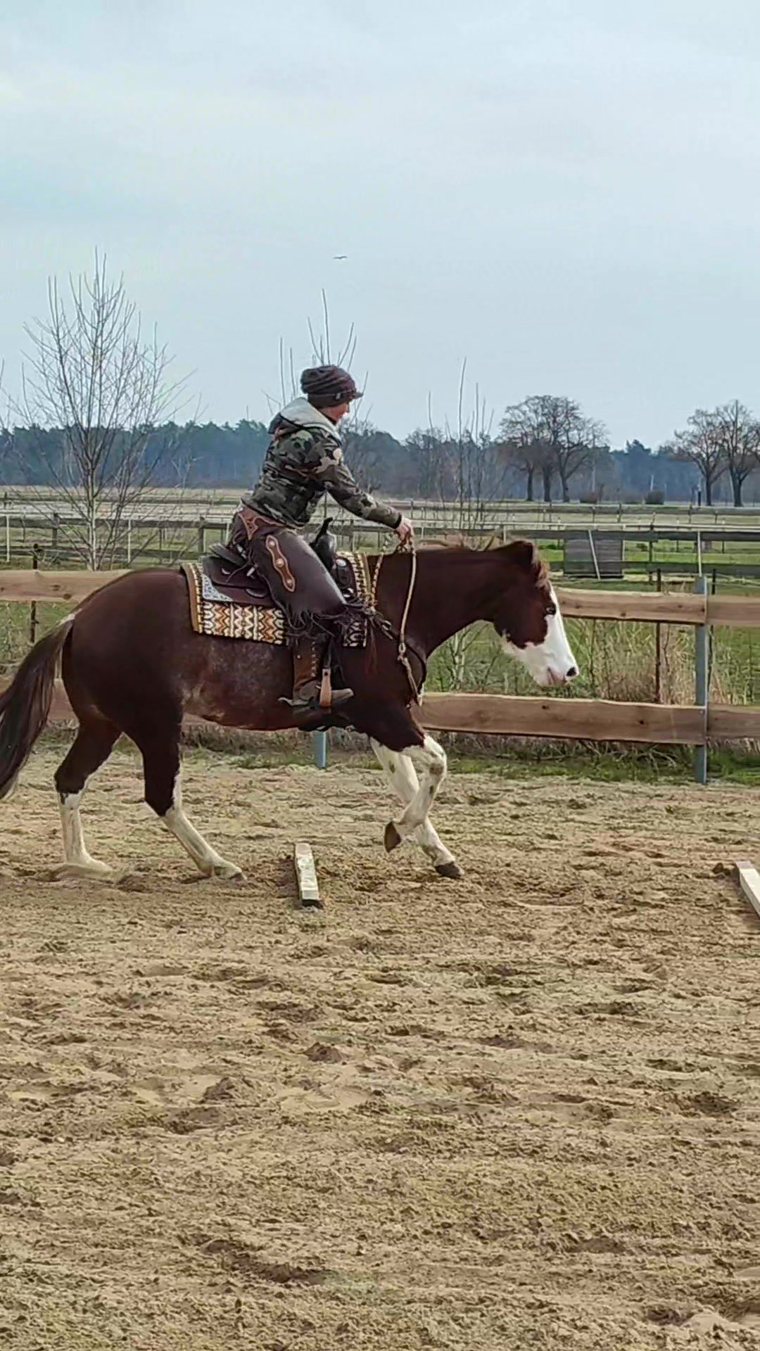 @Sandra Breitenstein