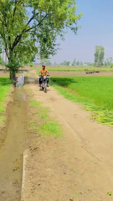 @Sunil Bains