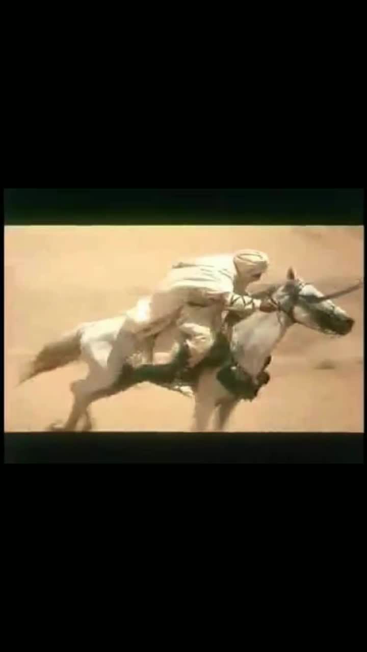 @ƏFQAN