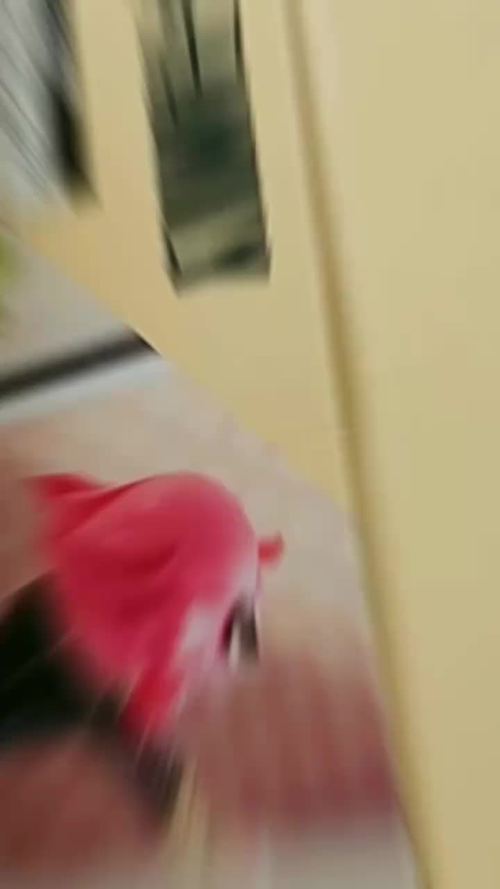 @蝦密玩具