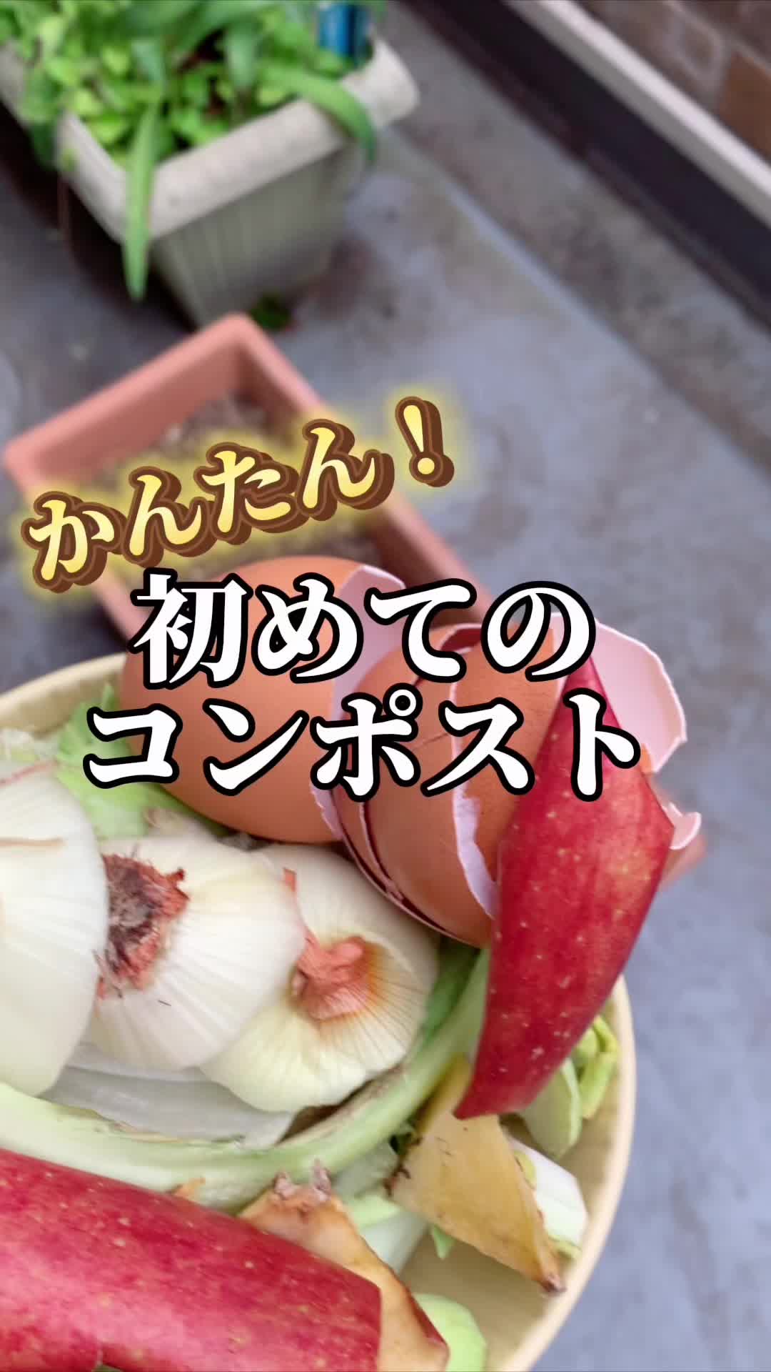 @econimajime