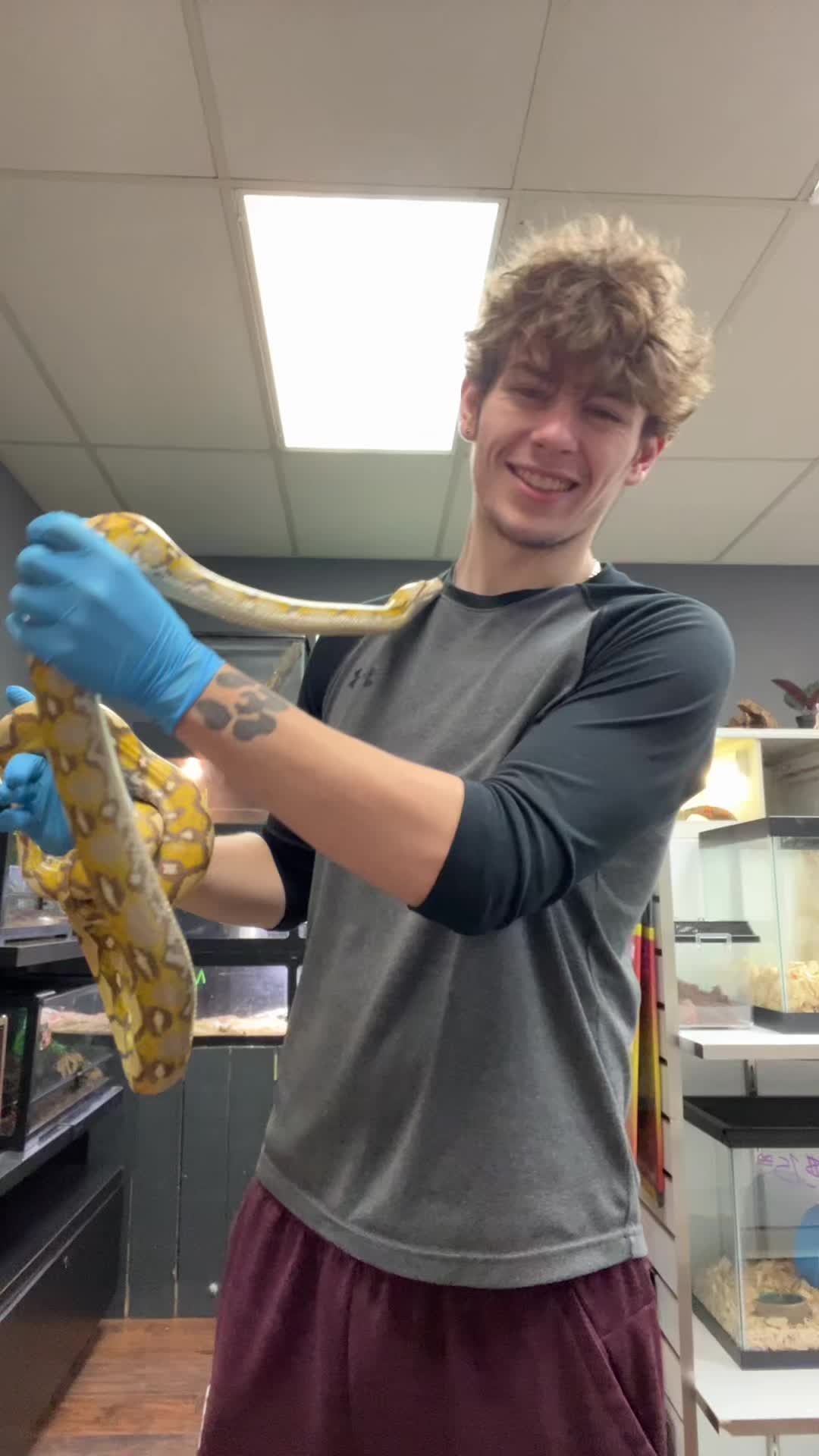 @The Lizard Lounge Exotic Pets