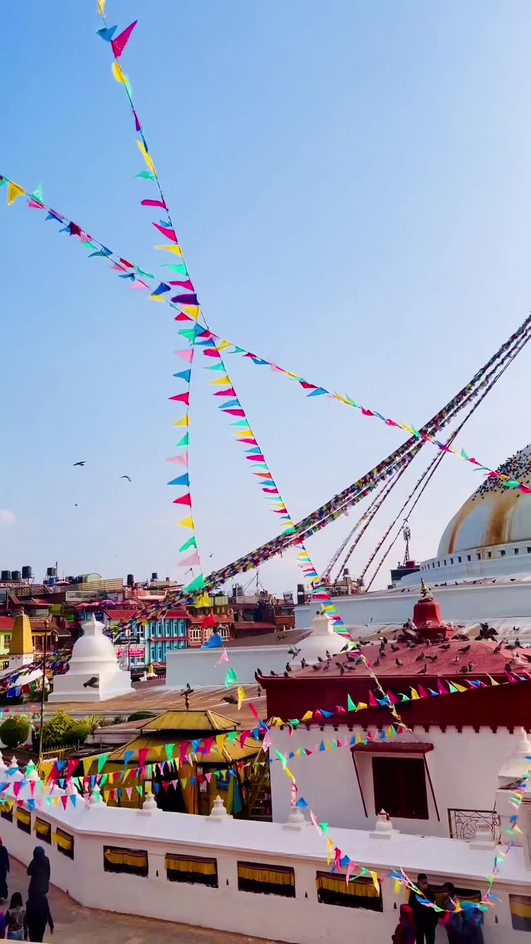 @NepalVid