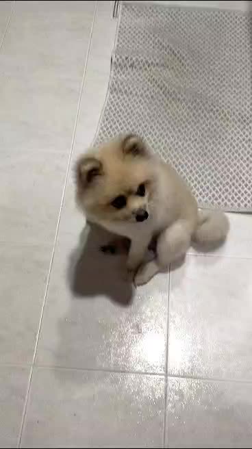 @Ayau