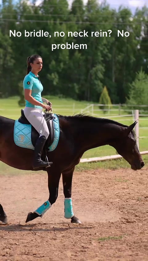 @Sync Equestrian