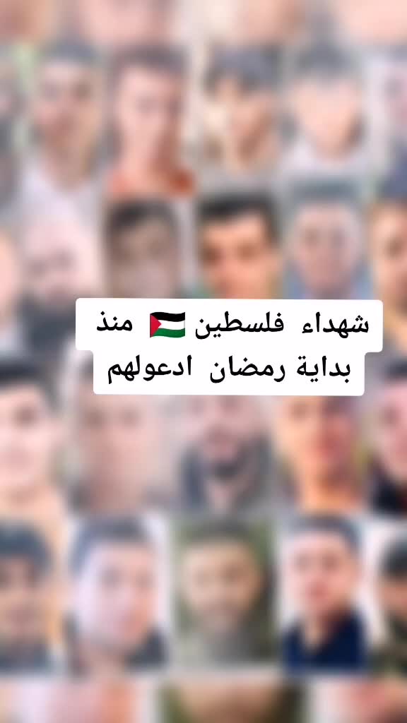 @السفير العراقي ⚔️🇮🇶