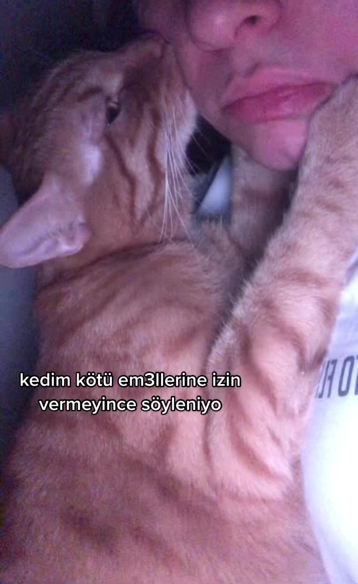 @Paşa Bebek