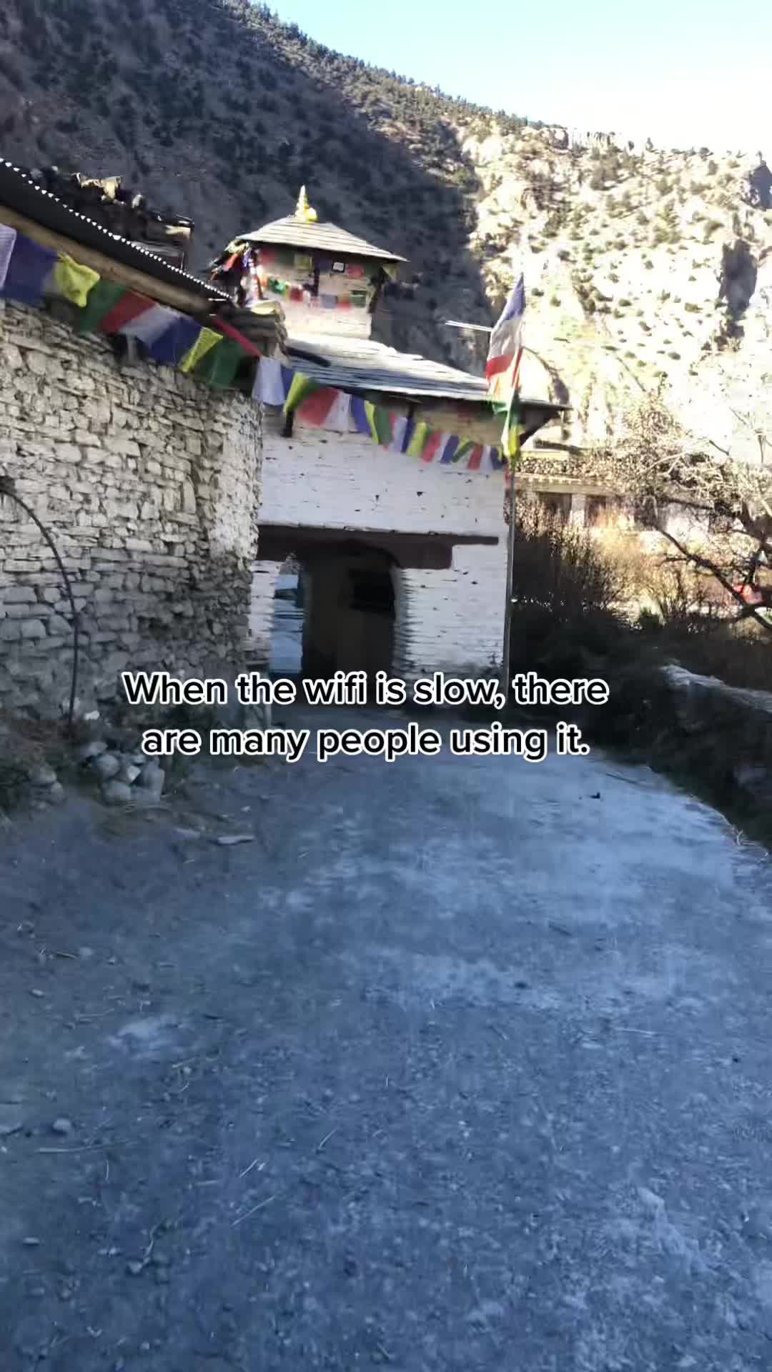 @hallelujah