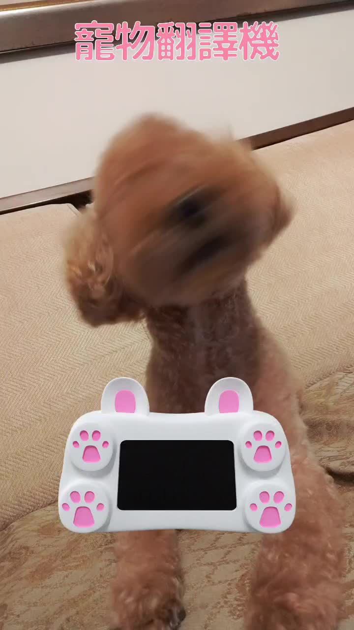 @鈞鈞