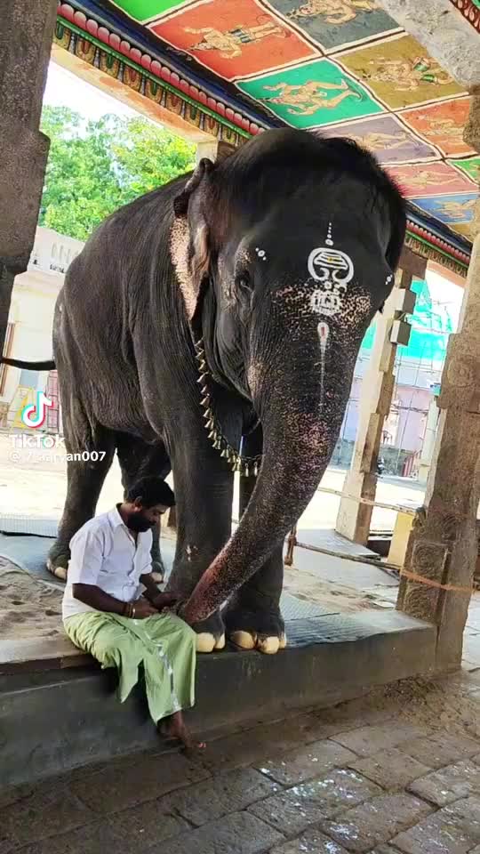 @murali.65