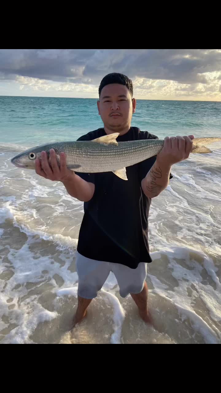 @Kamea