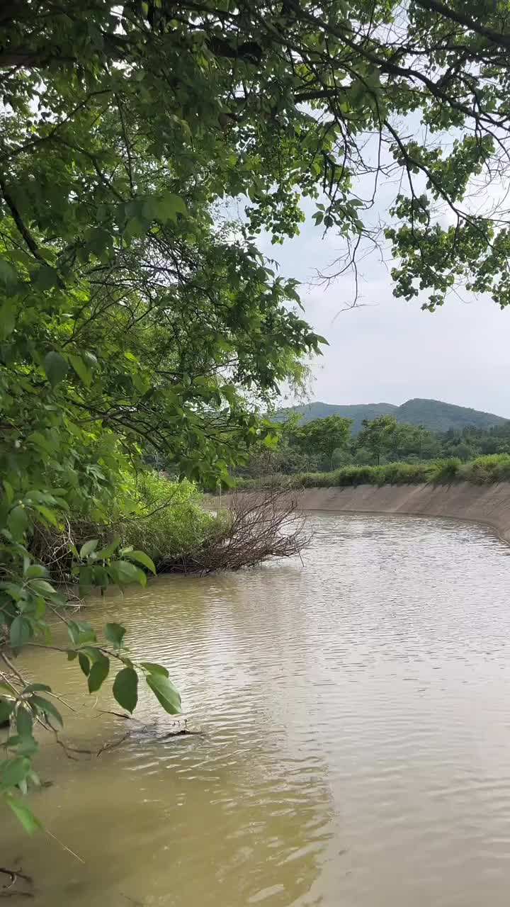 @逸明荒野探墓