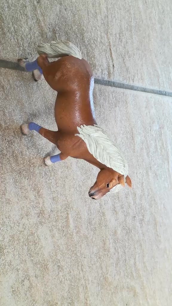 @Cc mes poneys