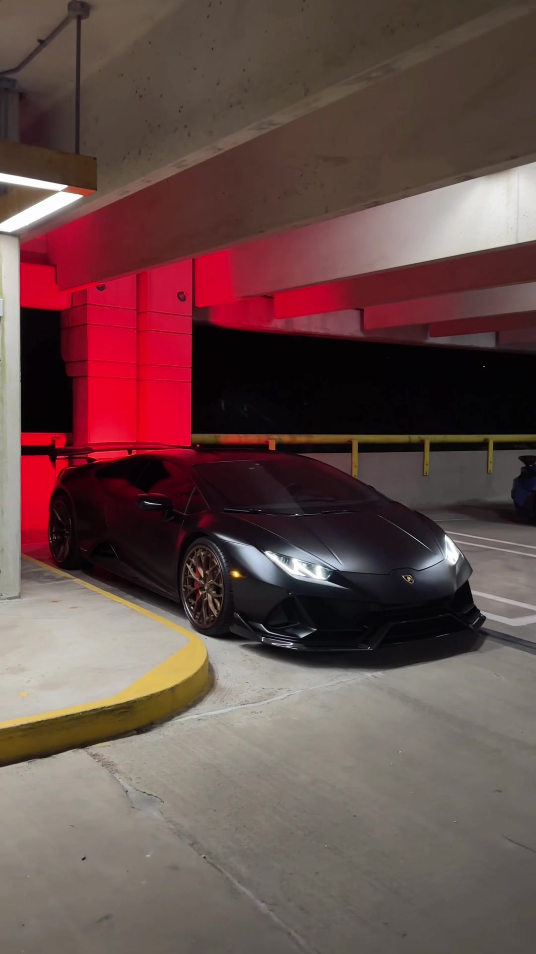 @Tony T. 🦇