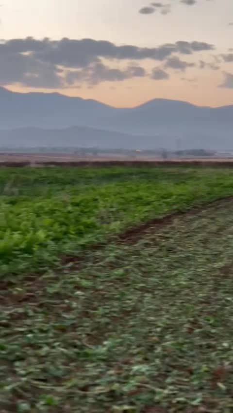 @EFE IŞIK