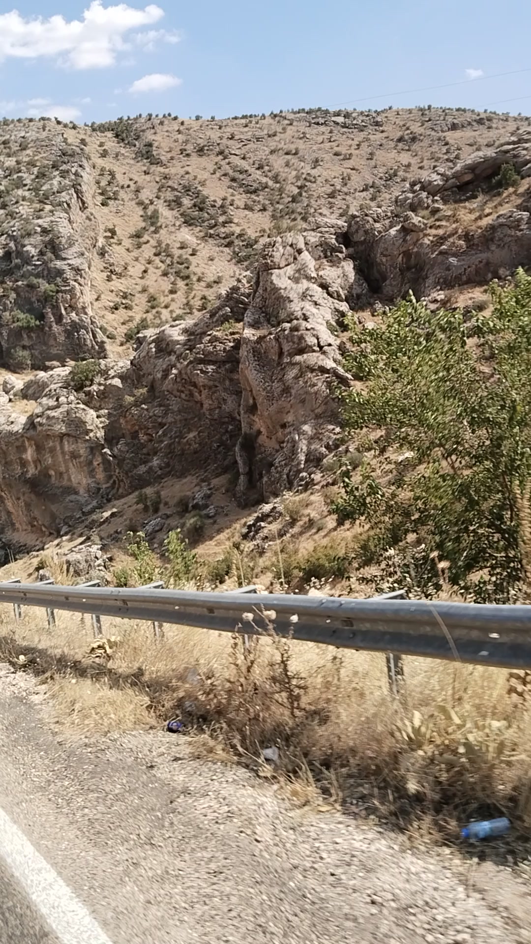 @Sezer Taner_02