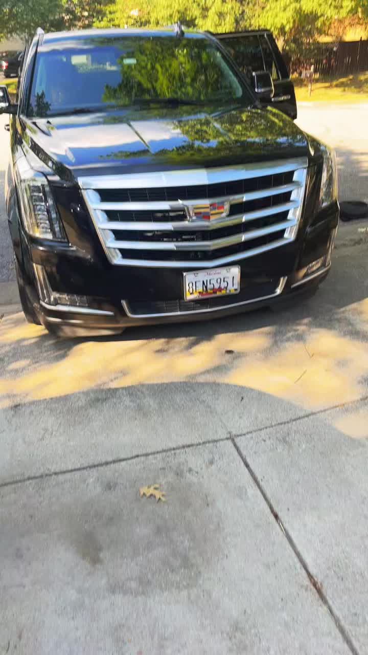 @TazAngel24