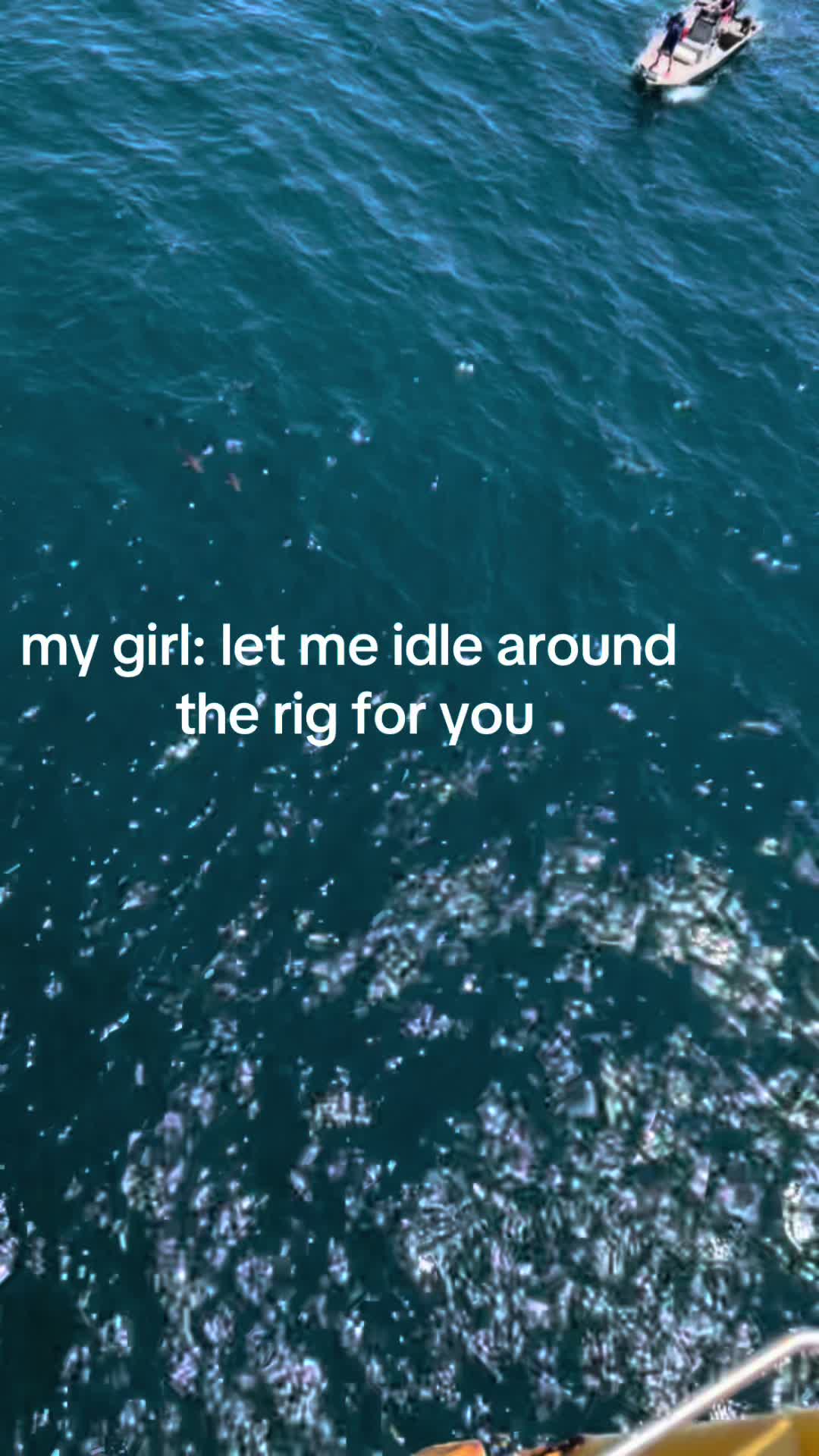 @Hunter🌾