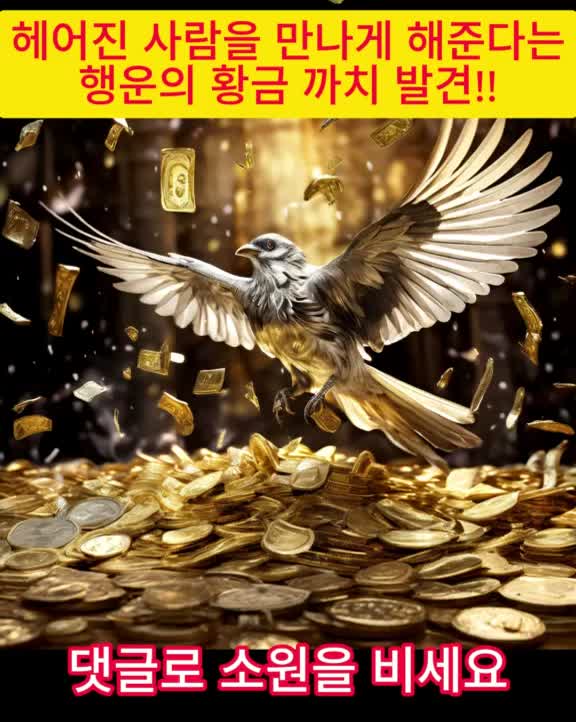 @보물상자