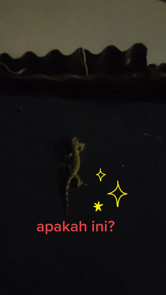@Drg.Roby Kristiawan