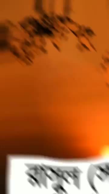 @user20831596725