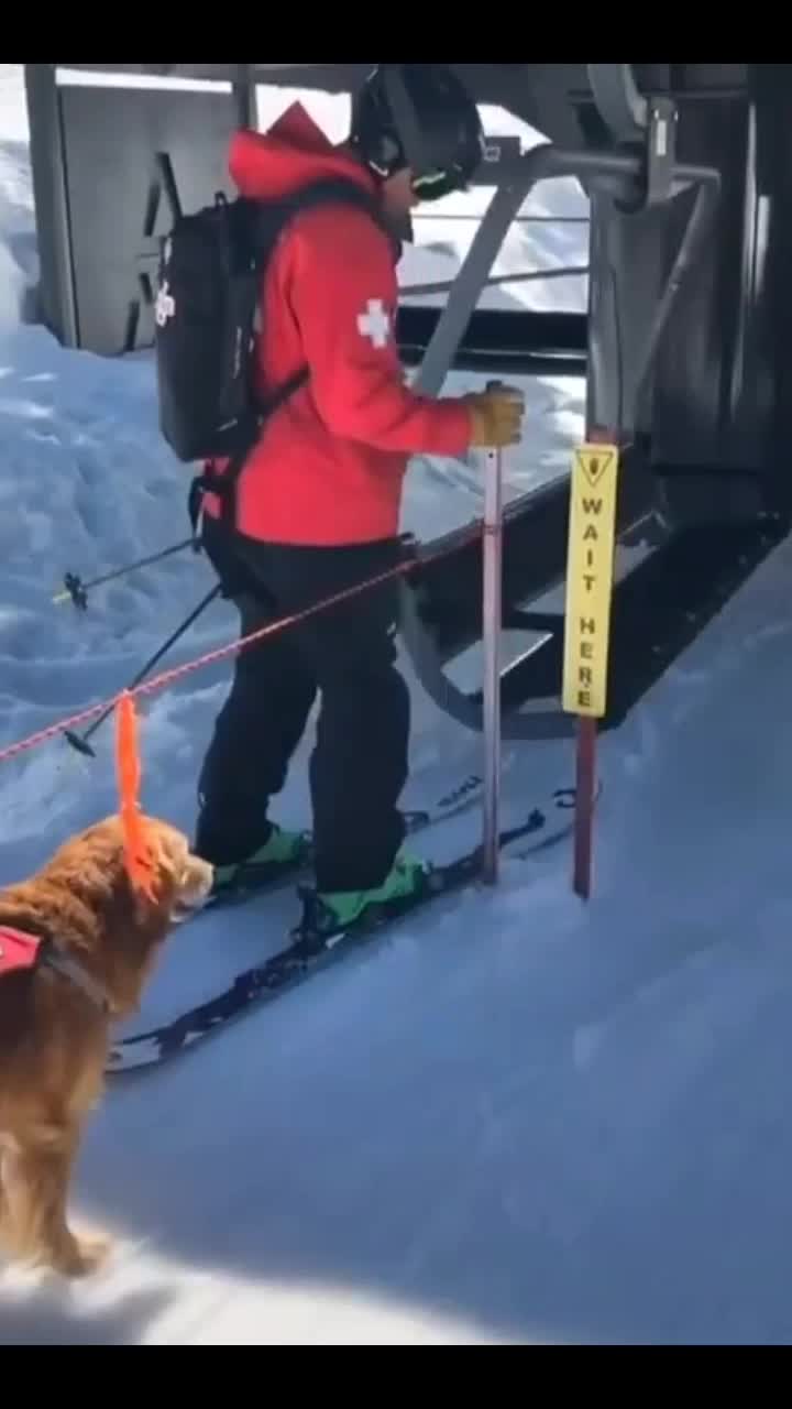 @Snowverb