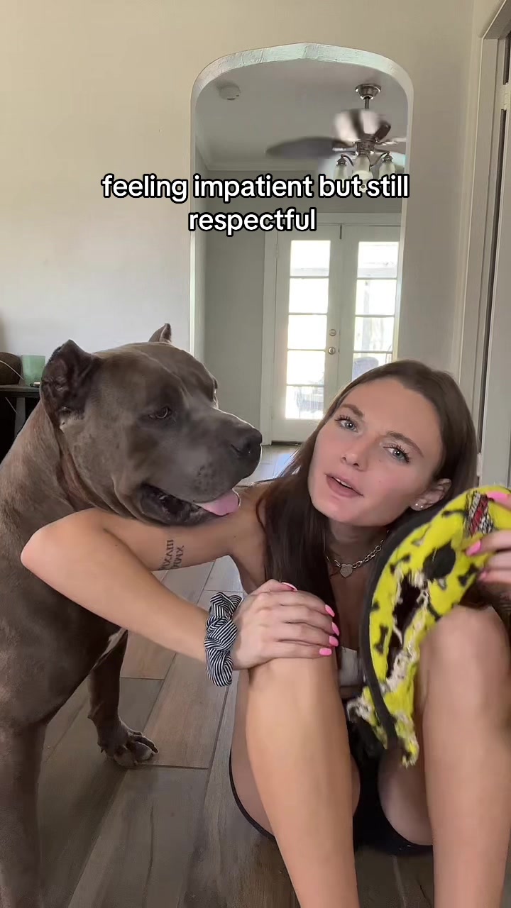 @bgk_diesel