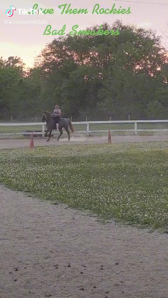@Mane Stream Stables