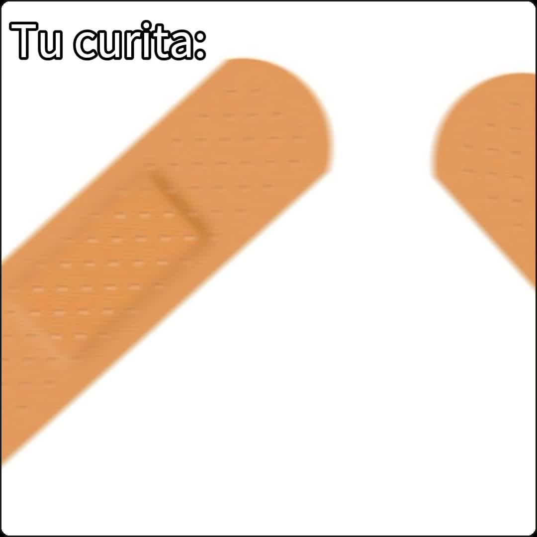 @🐈&zwj;⬛fusa01