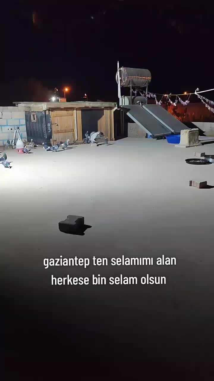 @👑 postacı 👑