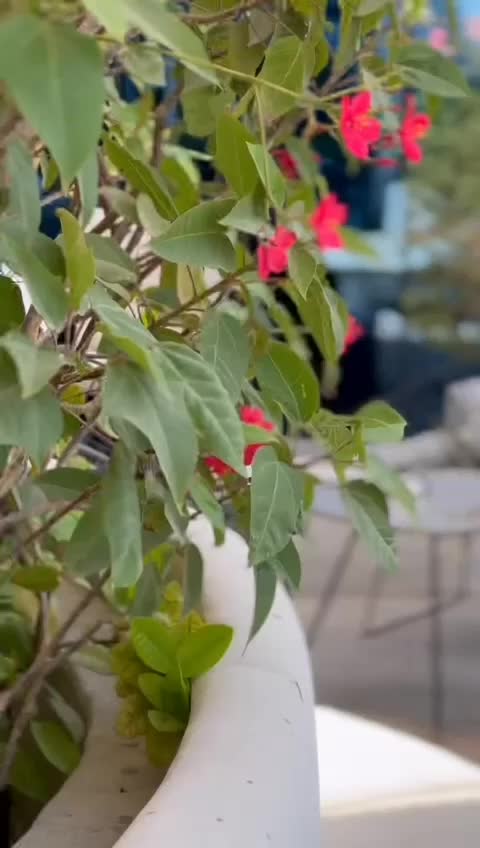 @shiny_joble