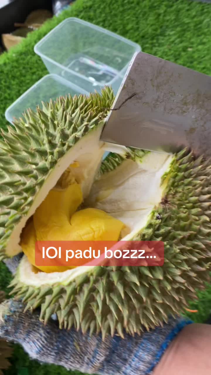 @Durian King Kaki
