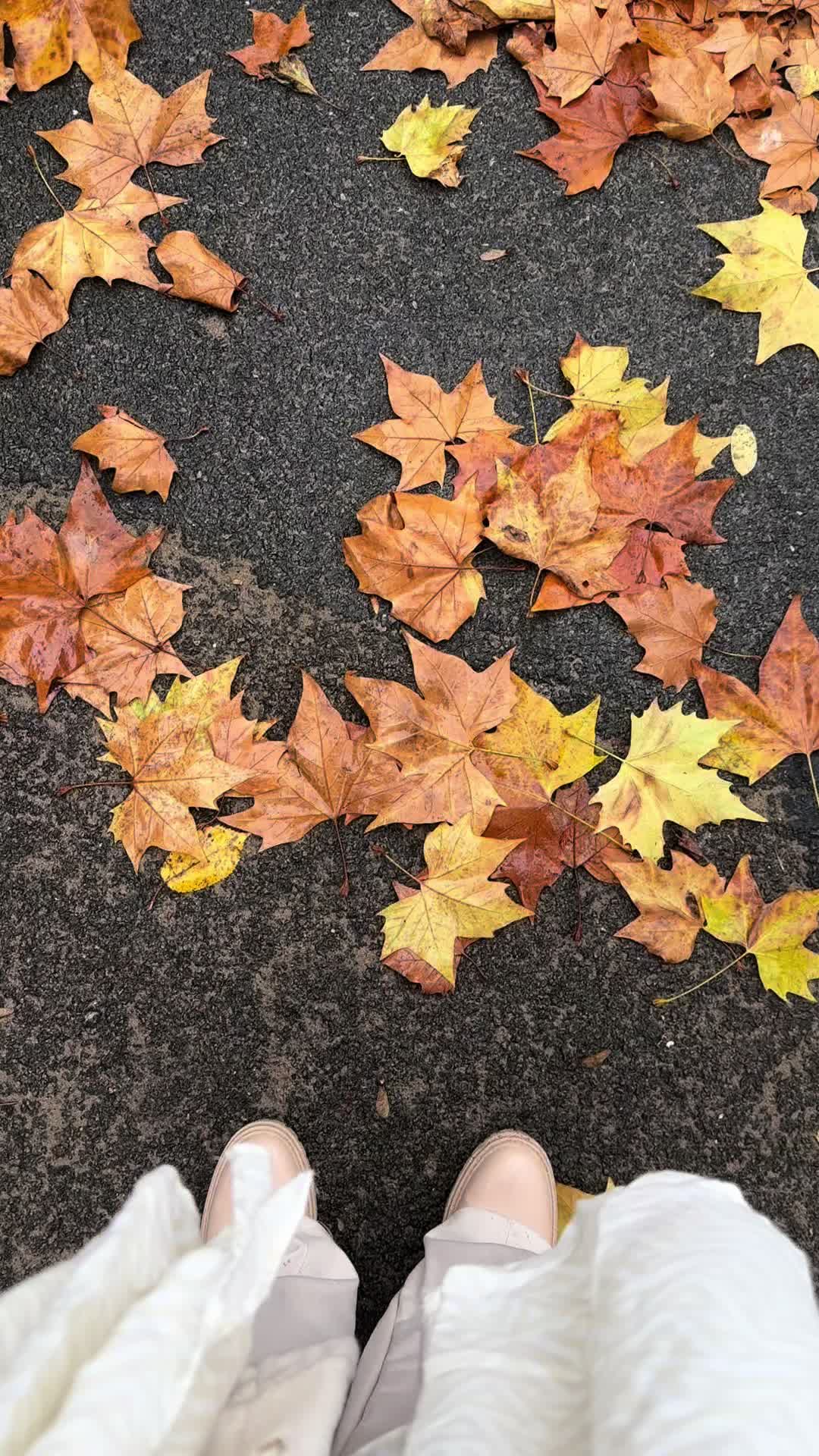 @GHADA AlZAHRANI 🕊️