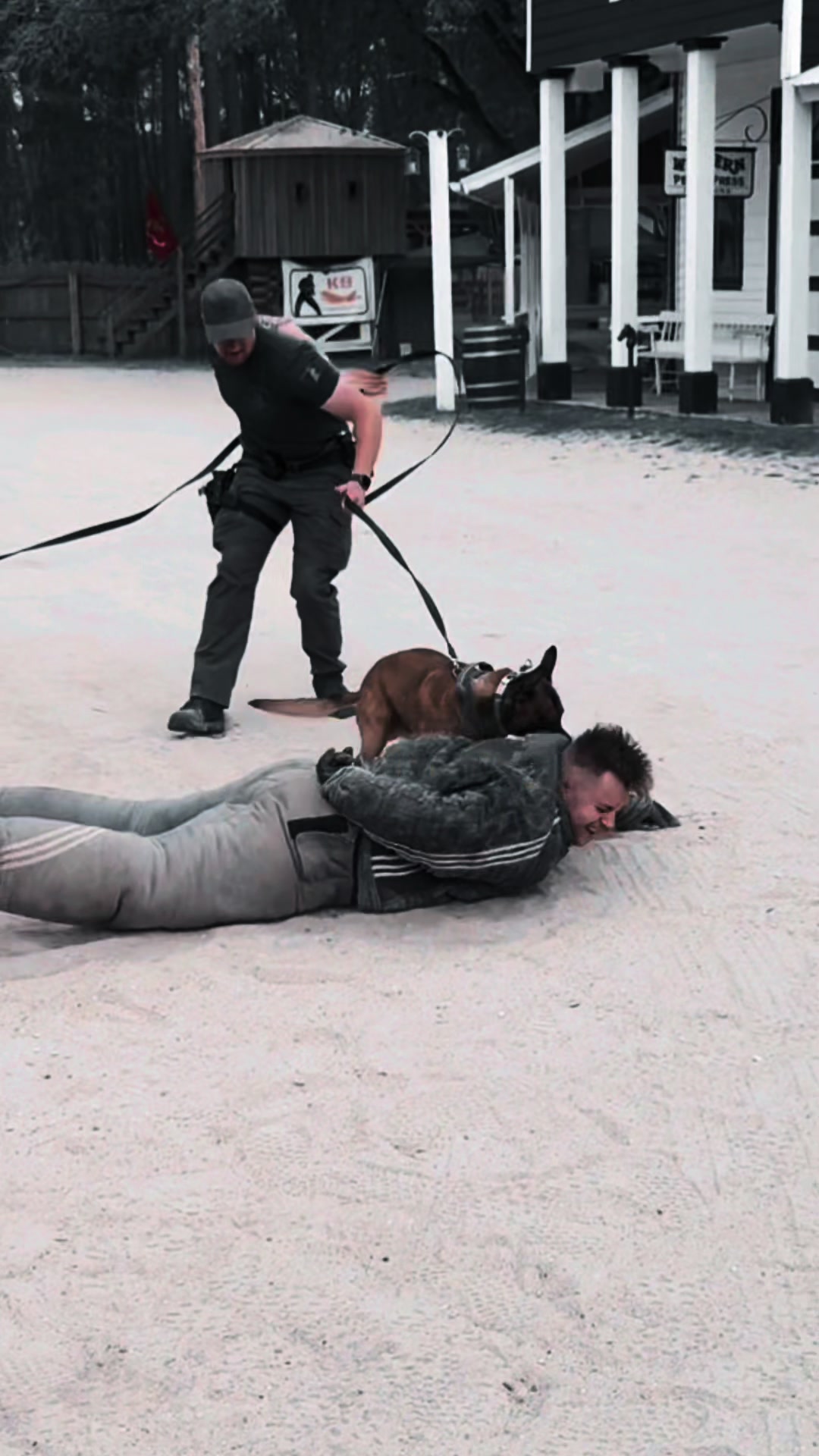 @K9DUCO