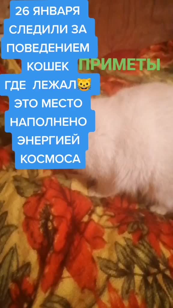 @Валентина