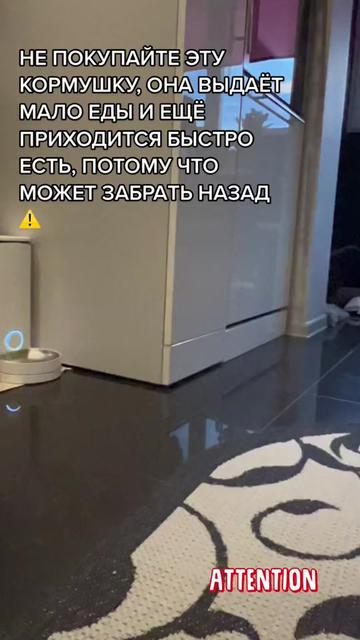 @⚜️Цыганчелла ⚜️