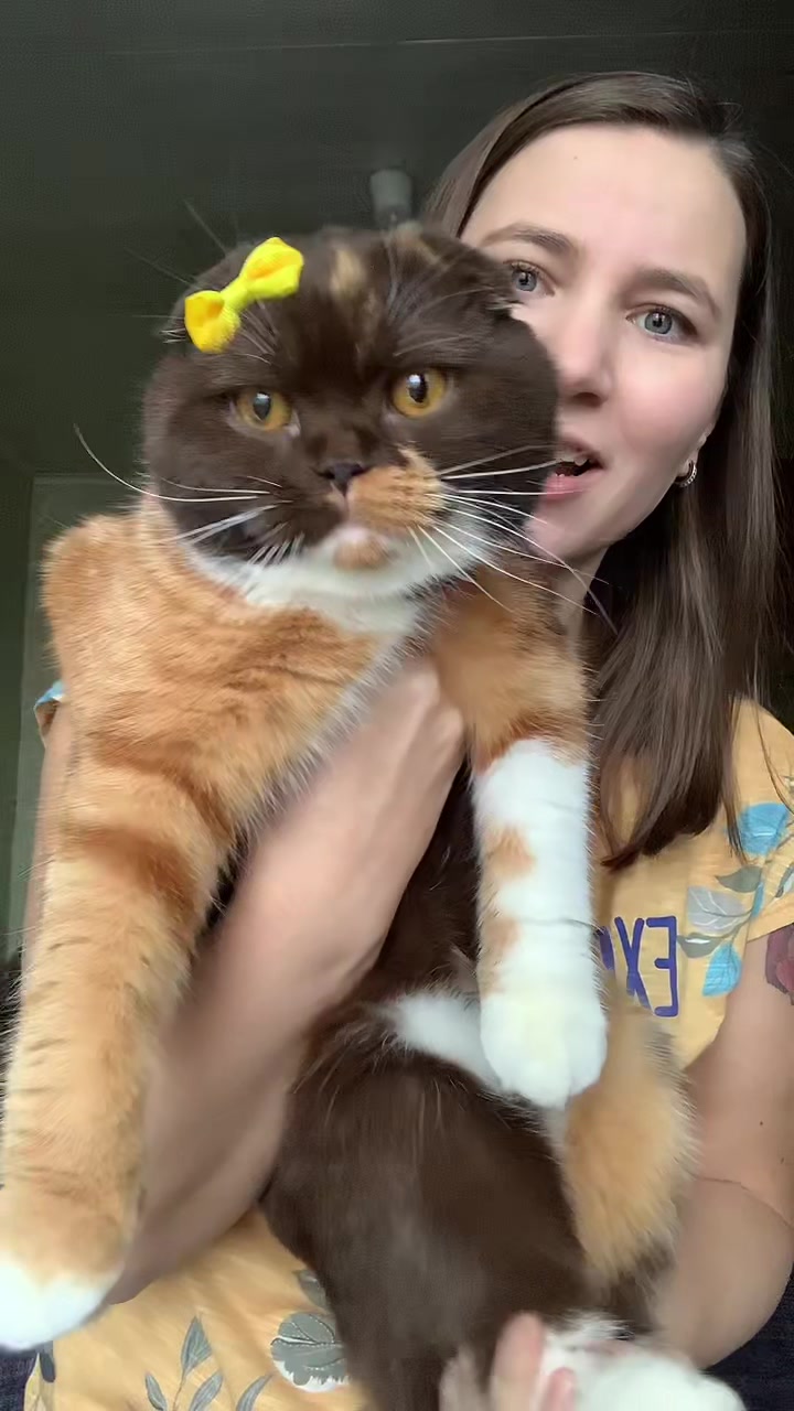 @Pro_busmusy