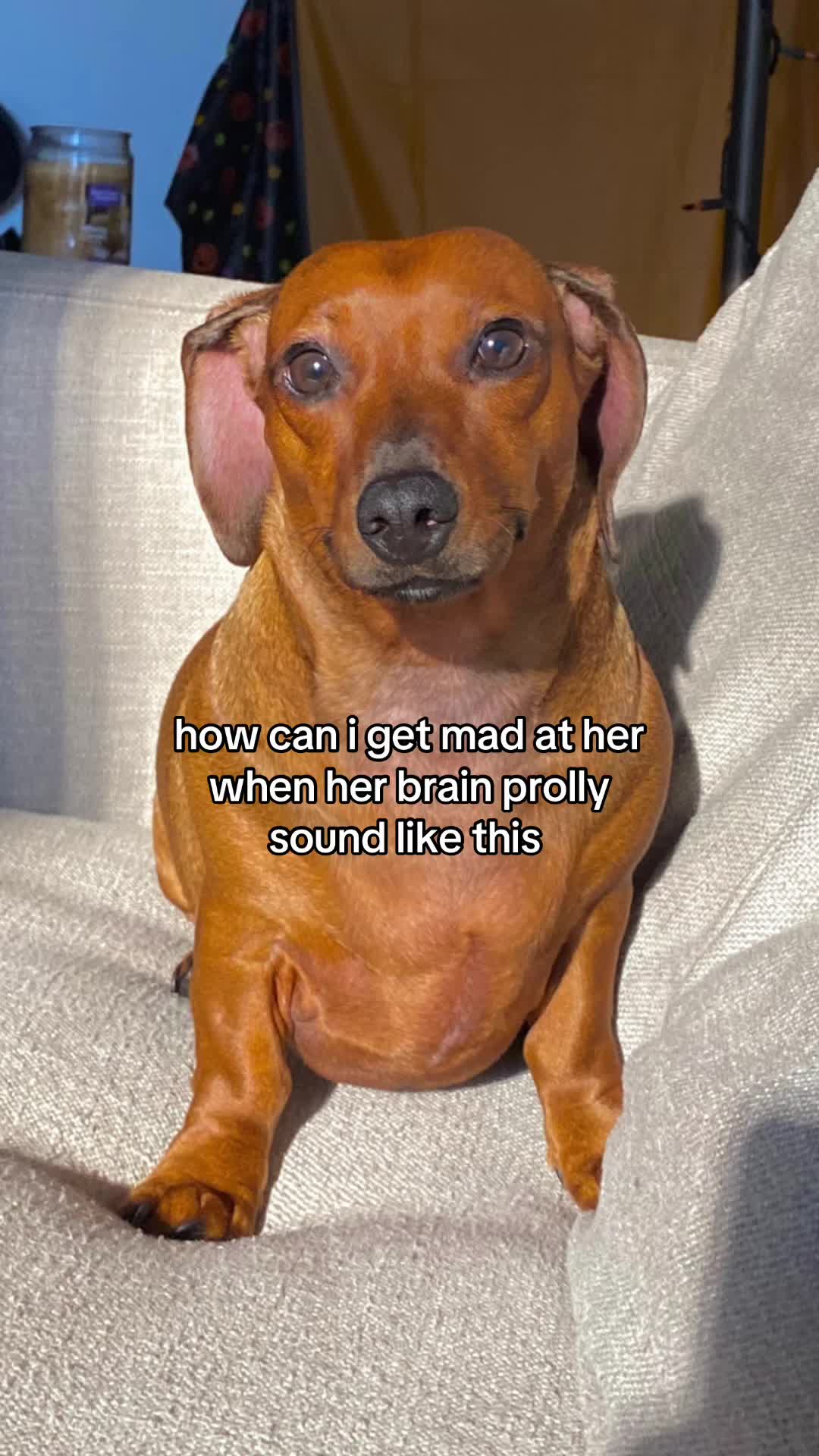 @rex