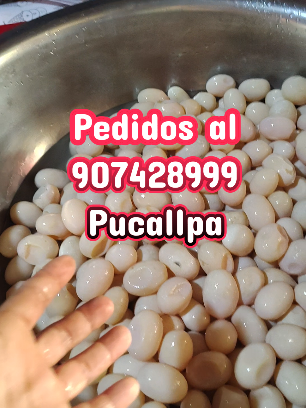 @LA TIRUSHA