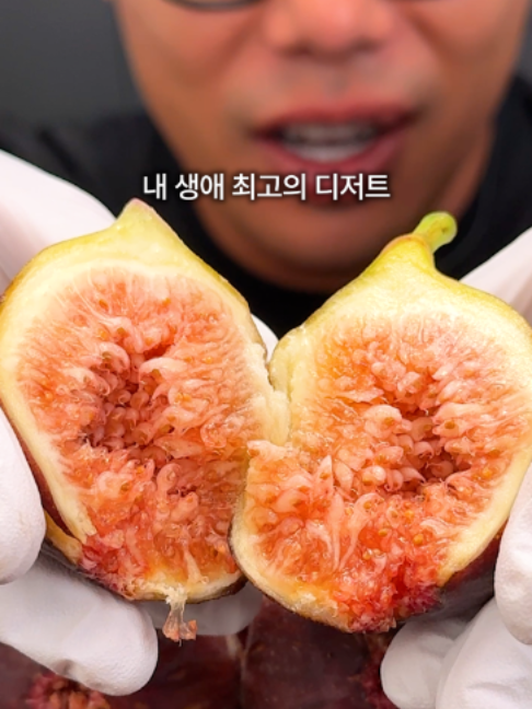 @해운대송사장