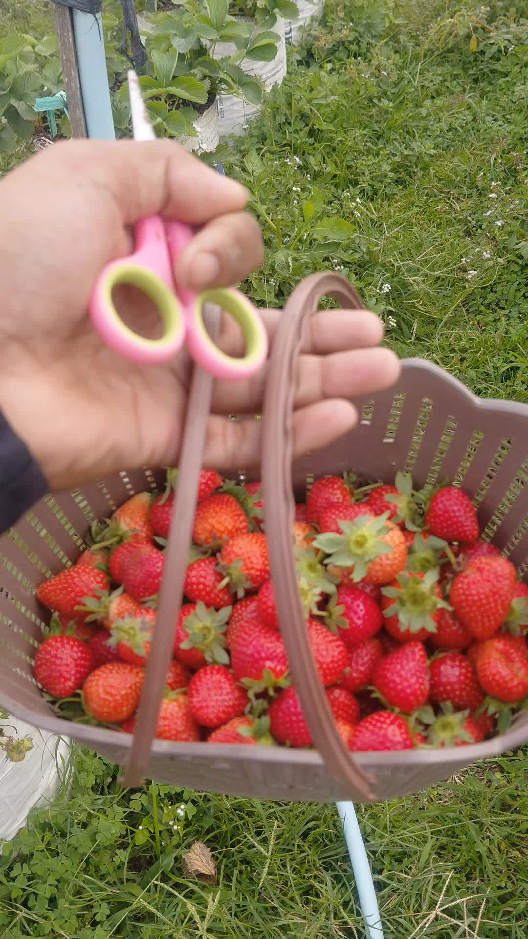 @nvtasciyty_010221