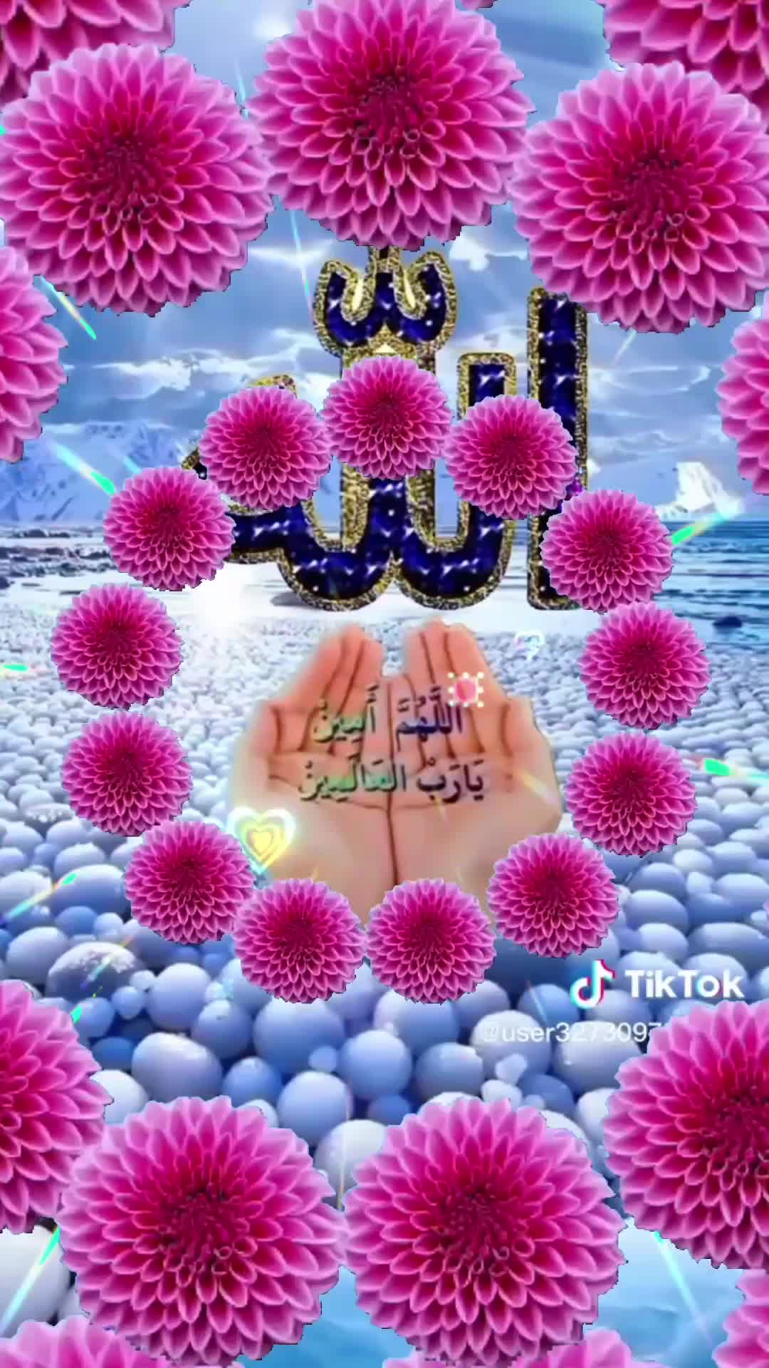 @samey sayed
