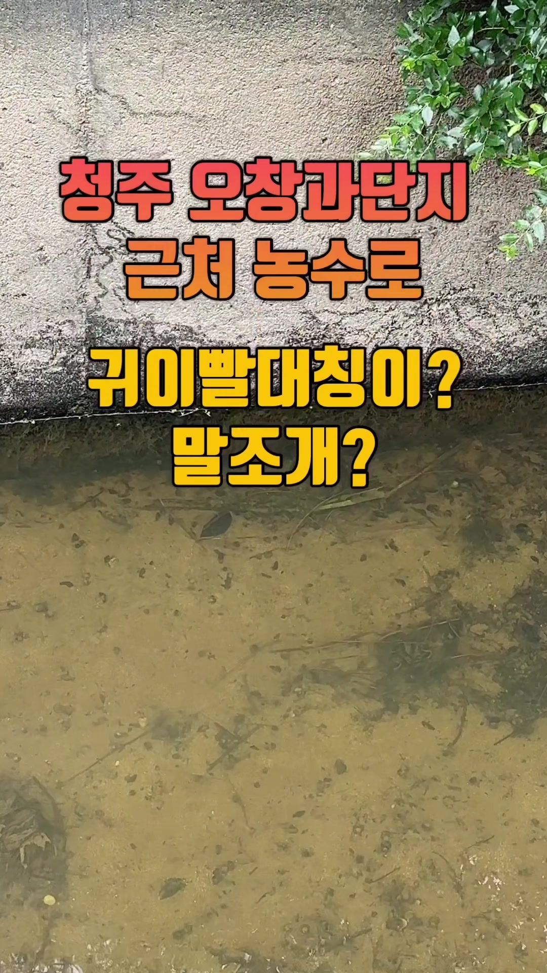 @043 TV