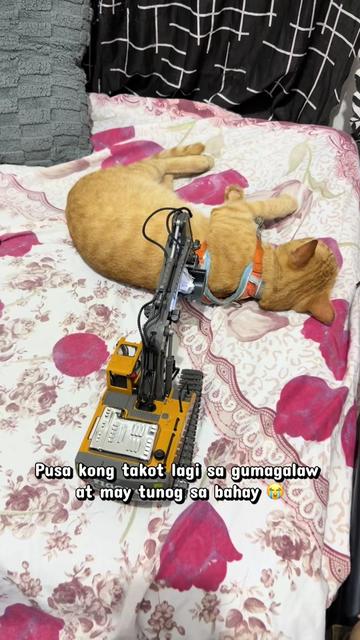 @Reiana, RN 2027