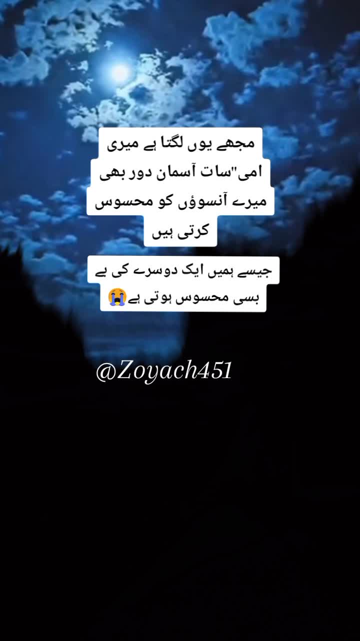 @ZOii..🦋