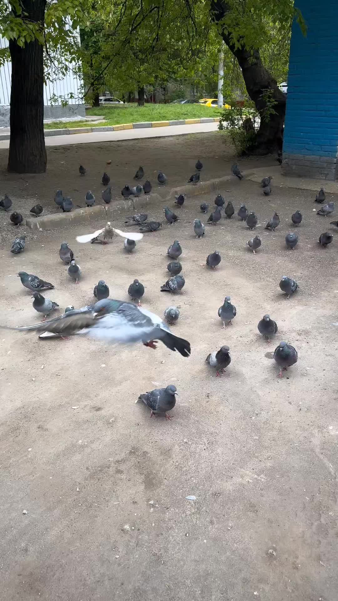 @Олег