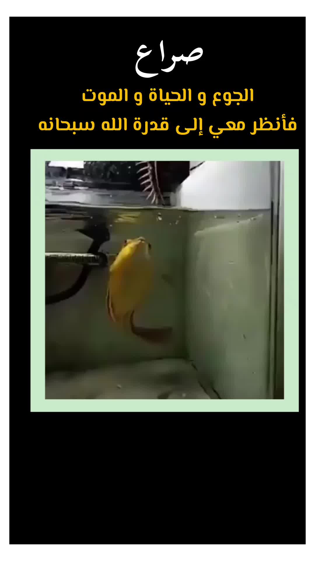 @إحساس رامي