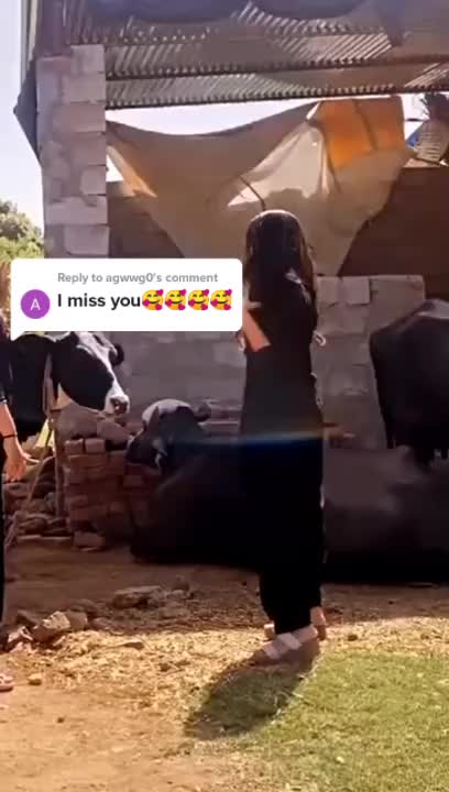 @user51770610295